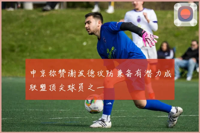 申京称赞谢泼德攻防兼备有潜力成联盟顶尖球员之一