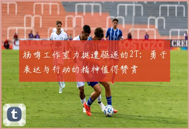 杨鸣工作室力挺遭驱逐的2T：勇于表达与行动的精神值得赞赏