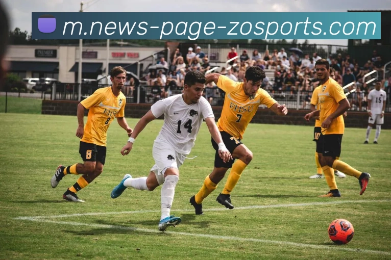 中欧体育平台生态图