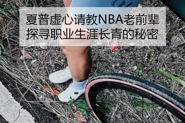 夏普虚心请教NBA老前辈 探寻职业生涯长青的秘密 | ZOSPORTS
